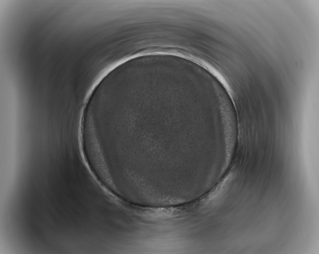 X0000095931533200801251040