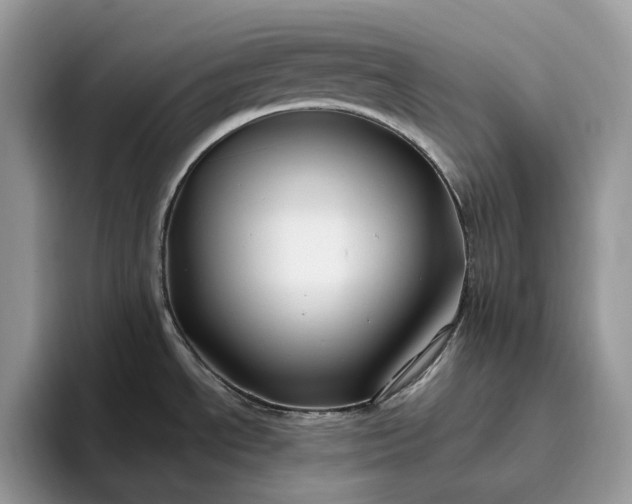 X0000095931534200801251040