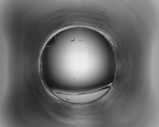 X0000095931535200801251040