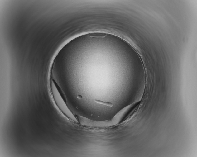X0000095931536200801251040