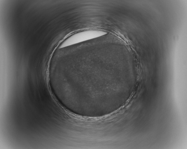 X0000095930002200802011030