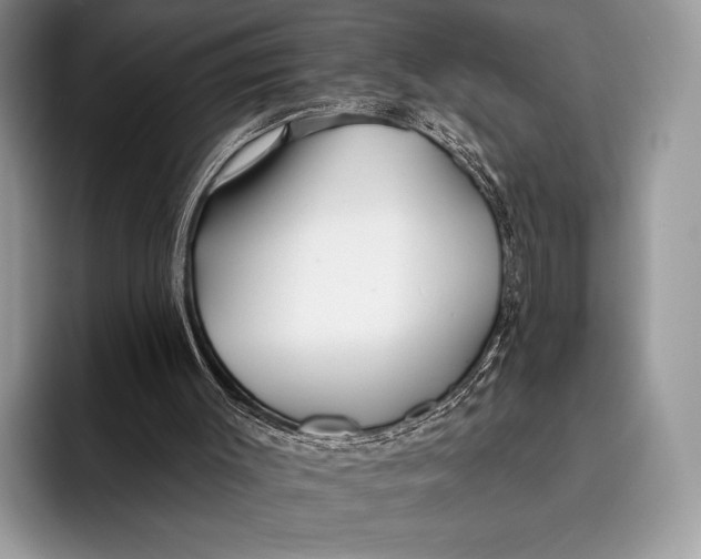 X0000095930003200802011030