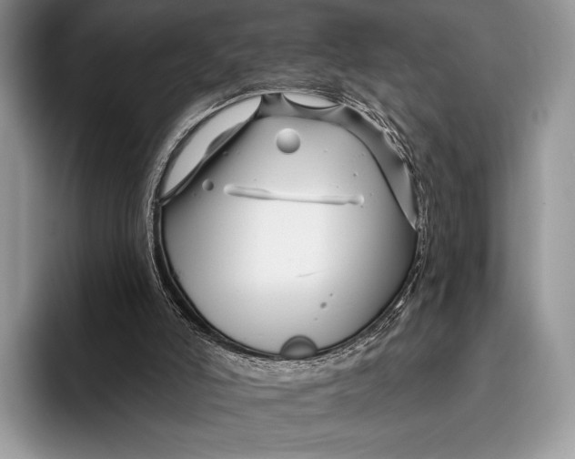 X0000095930006200802011030