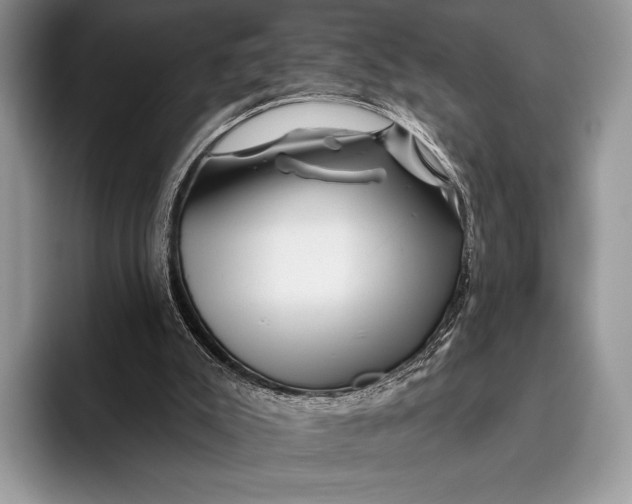 X0000095930007200802011030