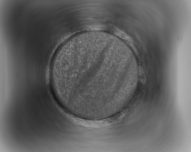 X0000095930012200802011030