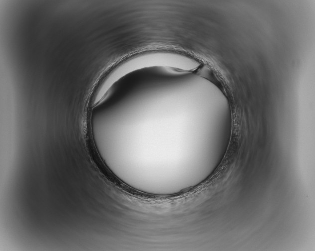 X0000095930015200802011030