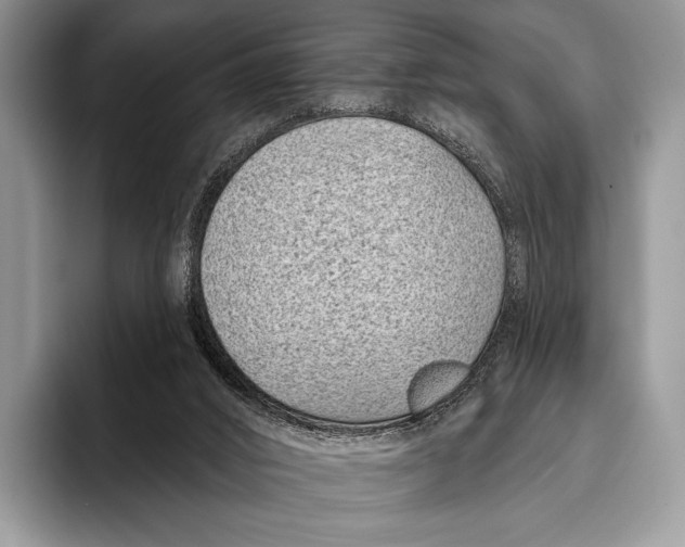 X0000095930016200802011030