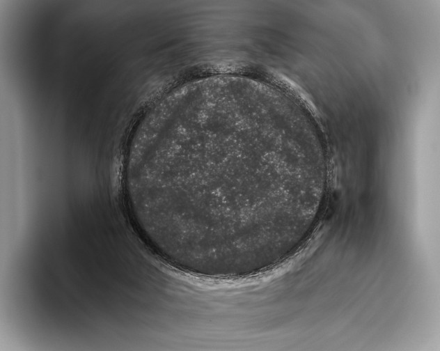X0000095930018200802011030