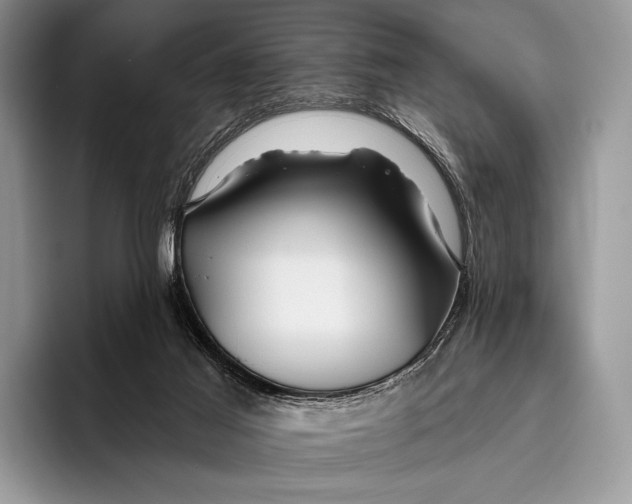 X0000095930021200802011030