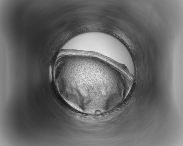 X0000095930022200802011030