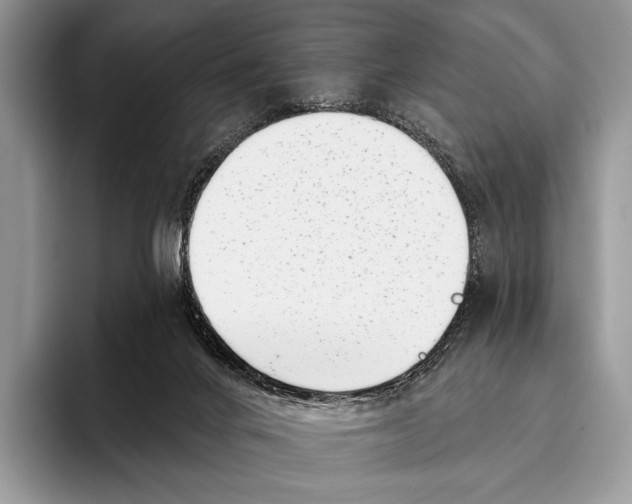 X0000095930024200802011030