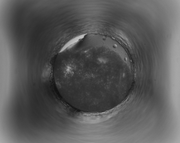 X0000095930029200802011030