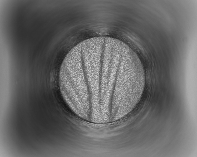 X0000095930030200802011030