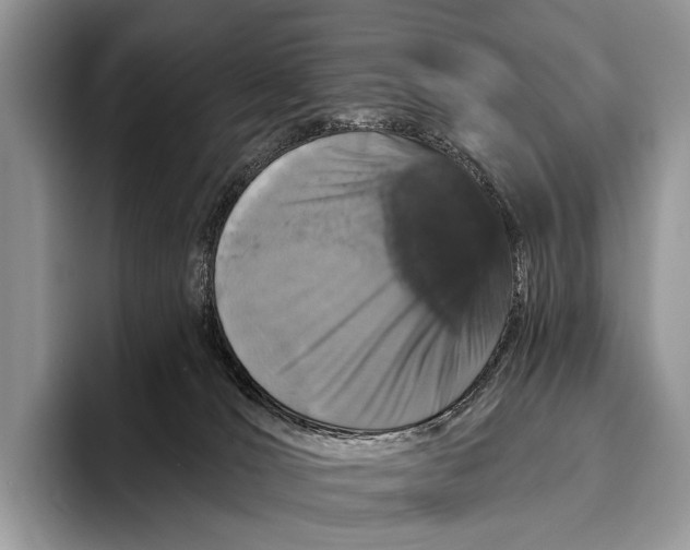 X0000095930036200802011030