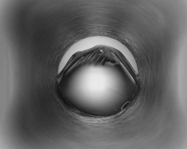 X0000095930040200802011030