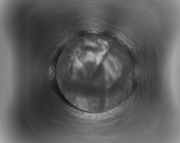 X0000095930043200802011030