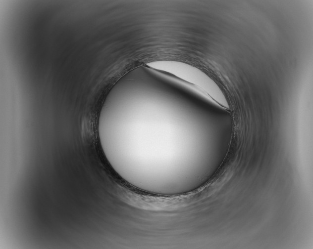 X0000095930044200802011030