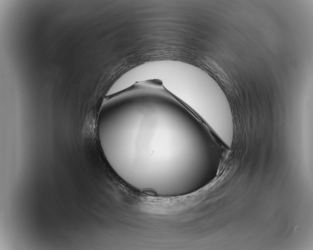 X0000095930045200802011030