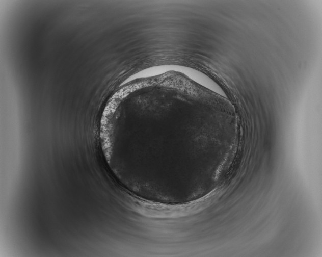 X0000095930048200802011030
