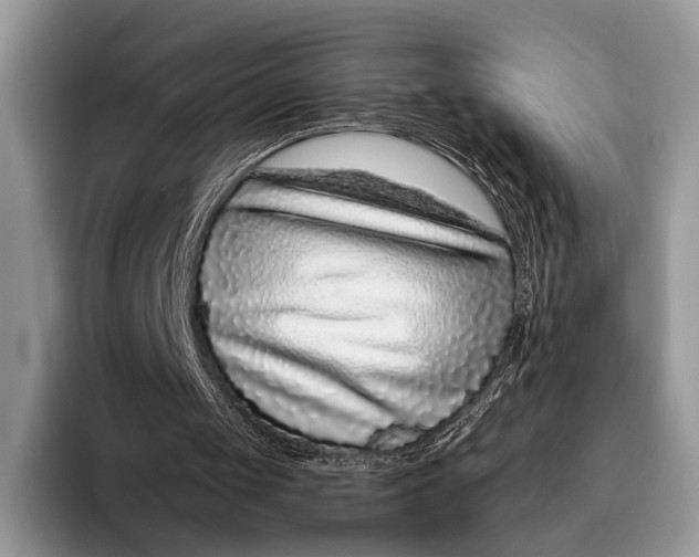 X0000095930049200802011029