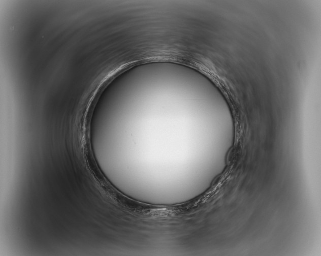 X0000095930050200802011029