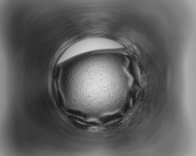X0000095930051200802011029