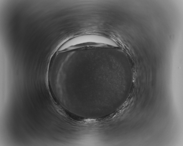 X0000095930052200802011029
