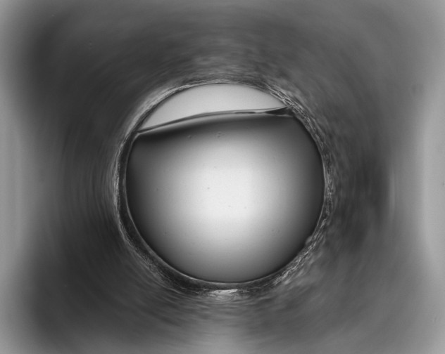 X0000095930054200802011029