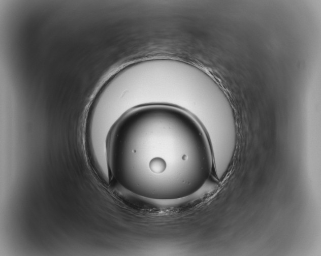 X0000095930056200802011029