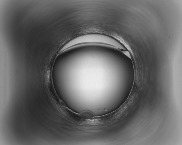 X0000095930057200802011029