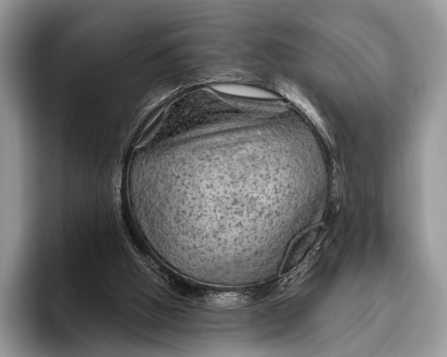X0000095930058200802011029