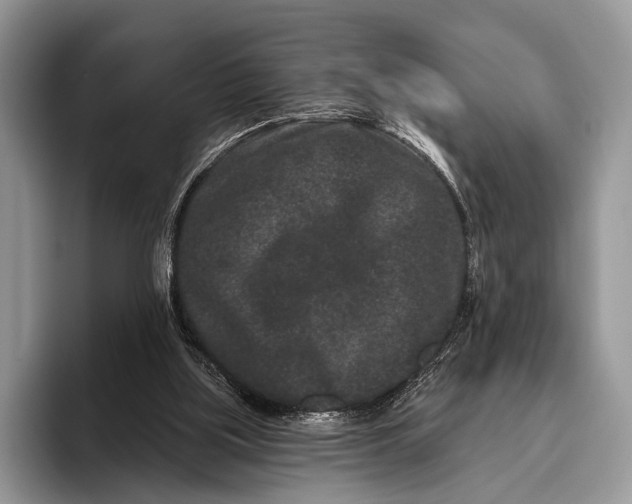 X0000095930059200802011029