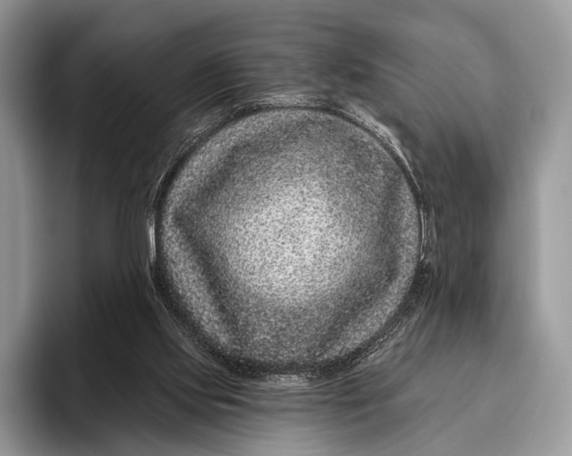X0000095930061200802011029
