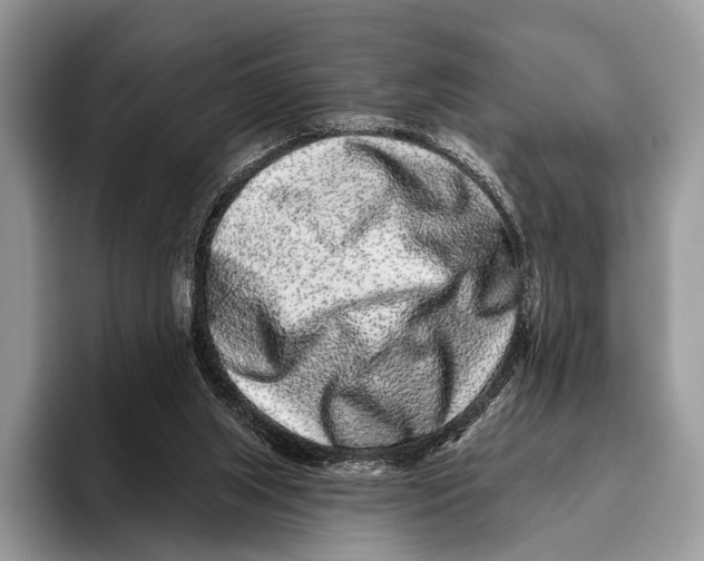 X0000095930063200802011029