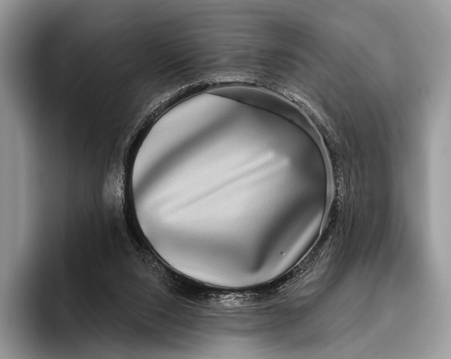 X0000095930064200802011029