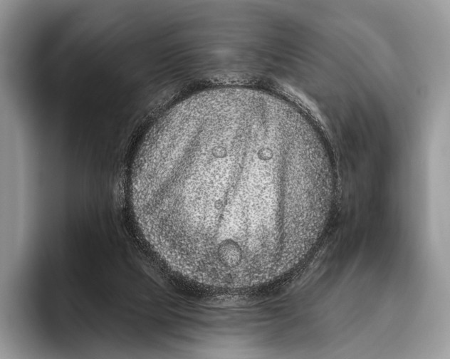 X0000095930065200802011029