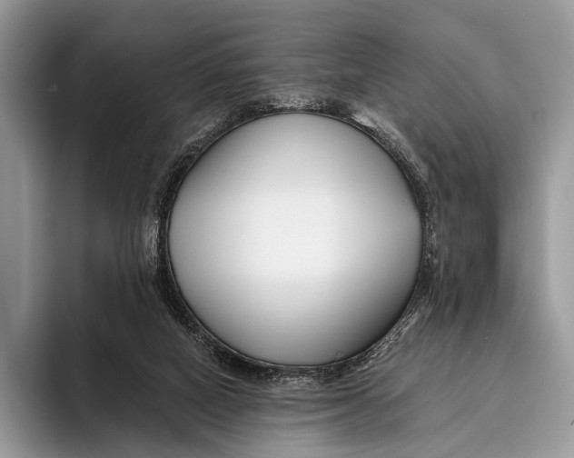 X0000095930066200802011029
