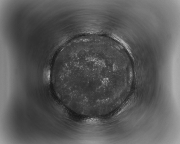 X0000095930067200802011029