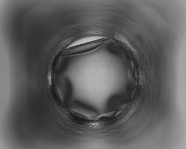 X0000095930068200802011029