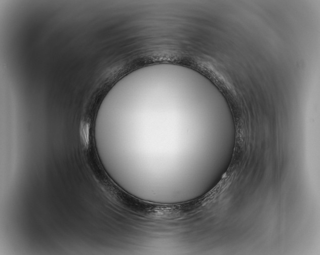 X0000095930070200802011029