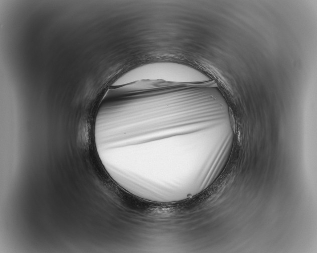 X0000095930071200802011029