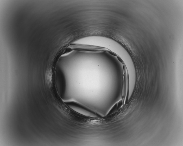 X0000095930072200802011029