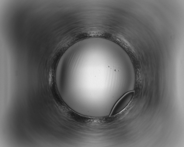 X0000095930074200802011029