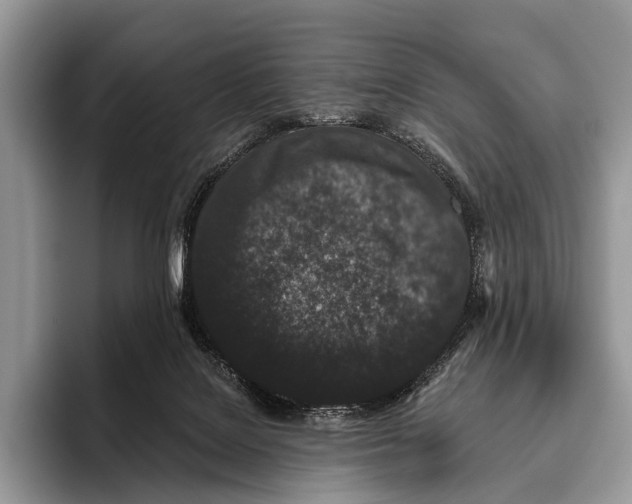 X0000095930076200802011029