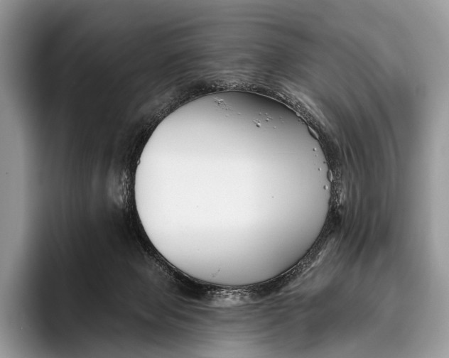 X0000095930077200802011029