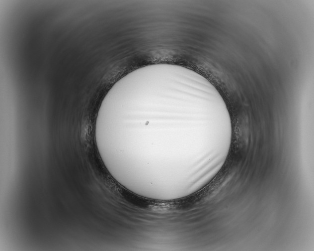 X0000095930079200802011029