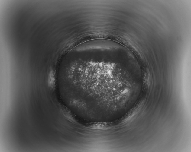 X0000095930080200802011029