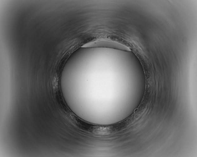 X0000095930081200802011029