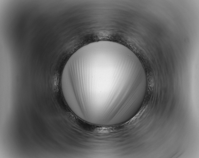 X0000095930082200802011029