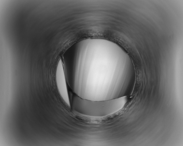 X0000095930084200802011029